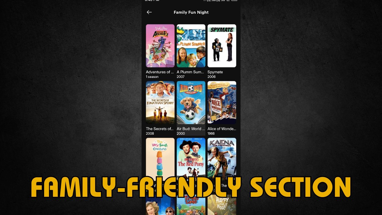 Family-Friendly Section