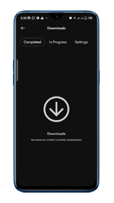 Offline Downloads